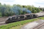 NS 5619